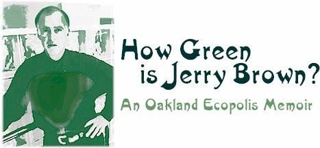 The graphic that accompanied a reflection on the experience of working on the "Oakland Ecopolis" plan by Earnest Yanarella.